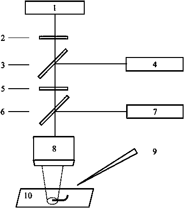 Method for continuously and linearly adjusting output laser polarization direction of semiconductor nanowire