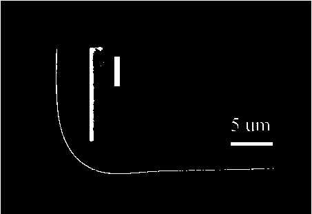 Method for continuously and linearly adjusting output laser polarization direction of semiconductor nanowire