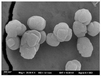 Method for compounding all-silicon ZSM-5 molecular sieve by utilizing all-silicon Beta crystallized mother liquor