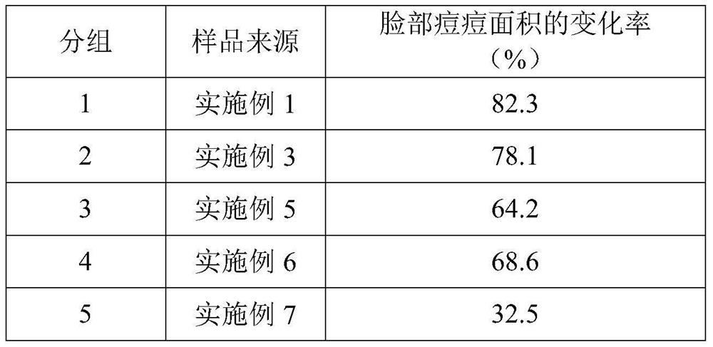 Skin care composition for brightening and removing acnes and preparation method thereof