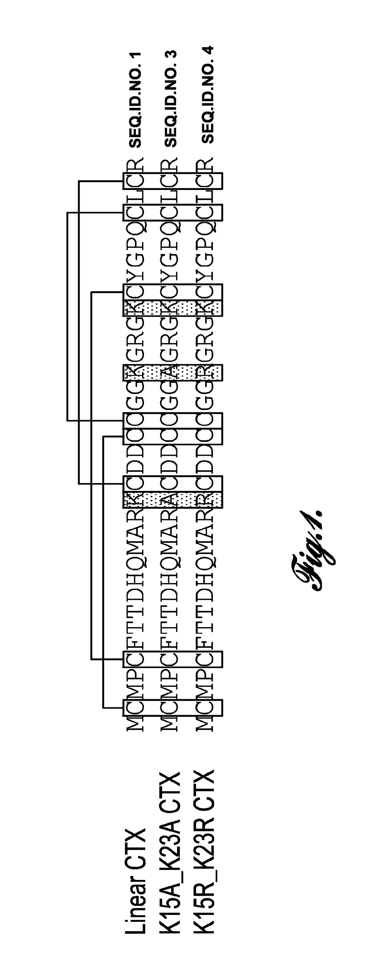 Chlorotoxin variants, conjugates, and methods for their use