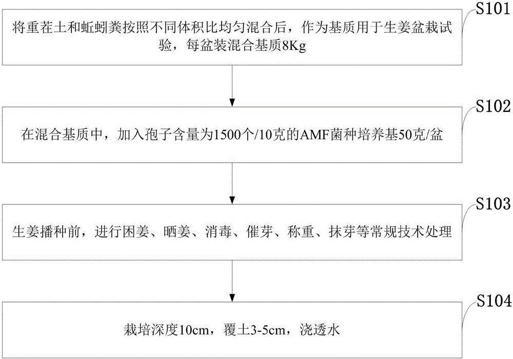 Planting method of continuous cropping gingers based on earthworm dung and AMF,