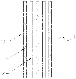 Lithium iron phosphate polymer lithium battery capable of realizing large current charging and discharging