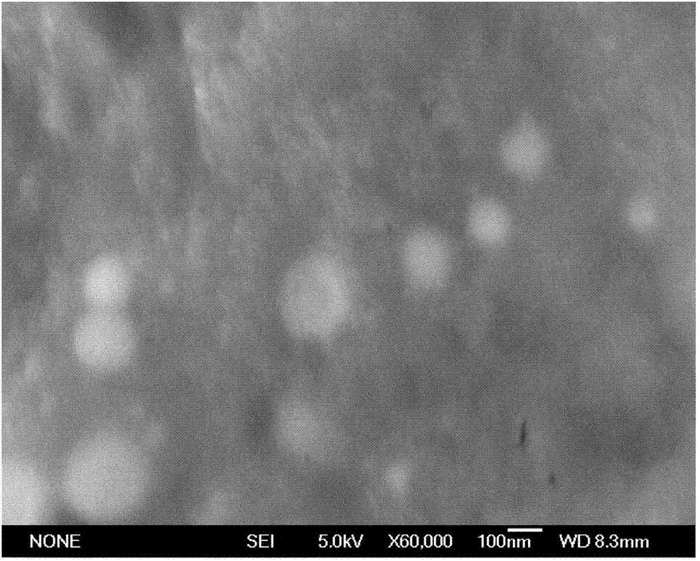 Preparation method of elemental selenium-enriched preparation