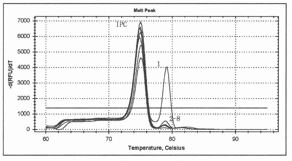 Swine-derived component real-time fluorescent PCR detection method and primers