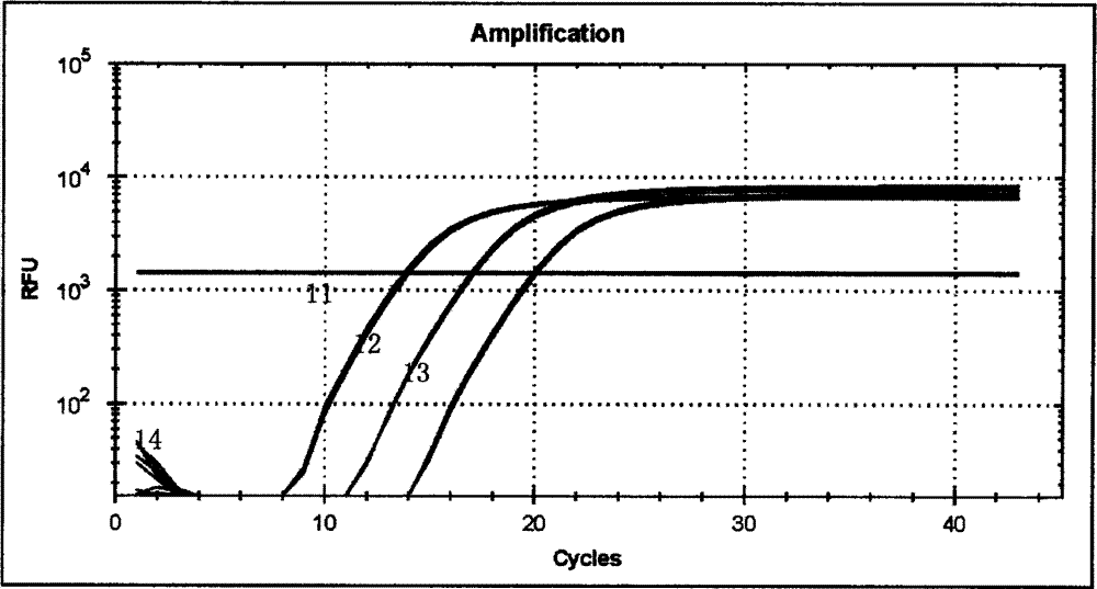 Swine-derived component real-time fluorescent PCR detection method and primers