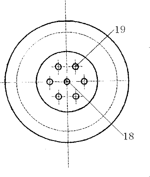 Cyonophyta tubifex purification device and purification method thereof