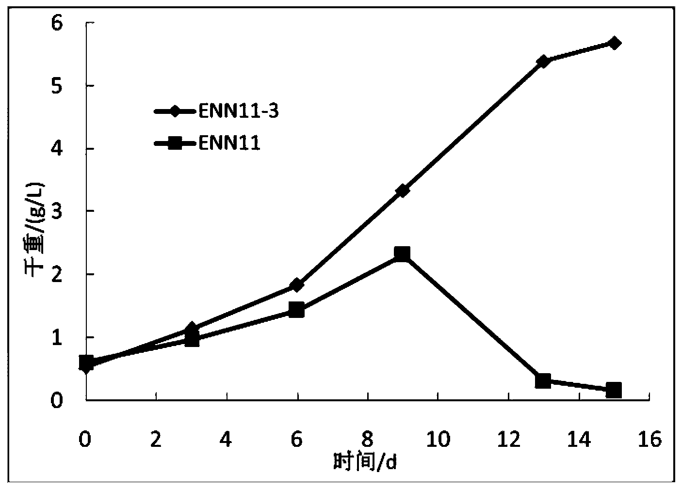 Nannochloropsis sp mutant strain and application thereof