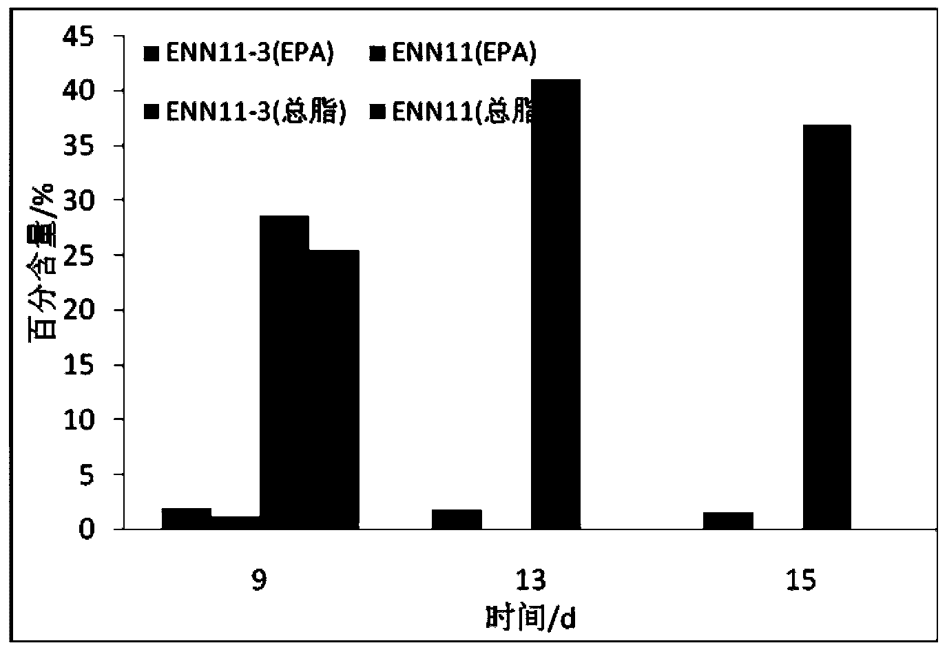 Nannochloropsis sp mutant strain and application thereof