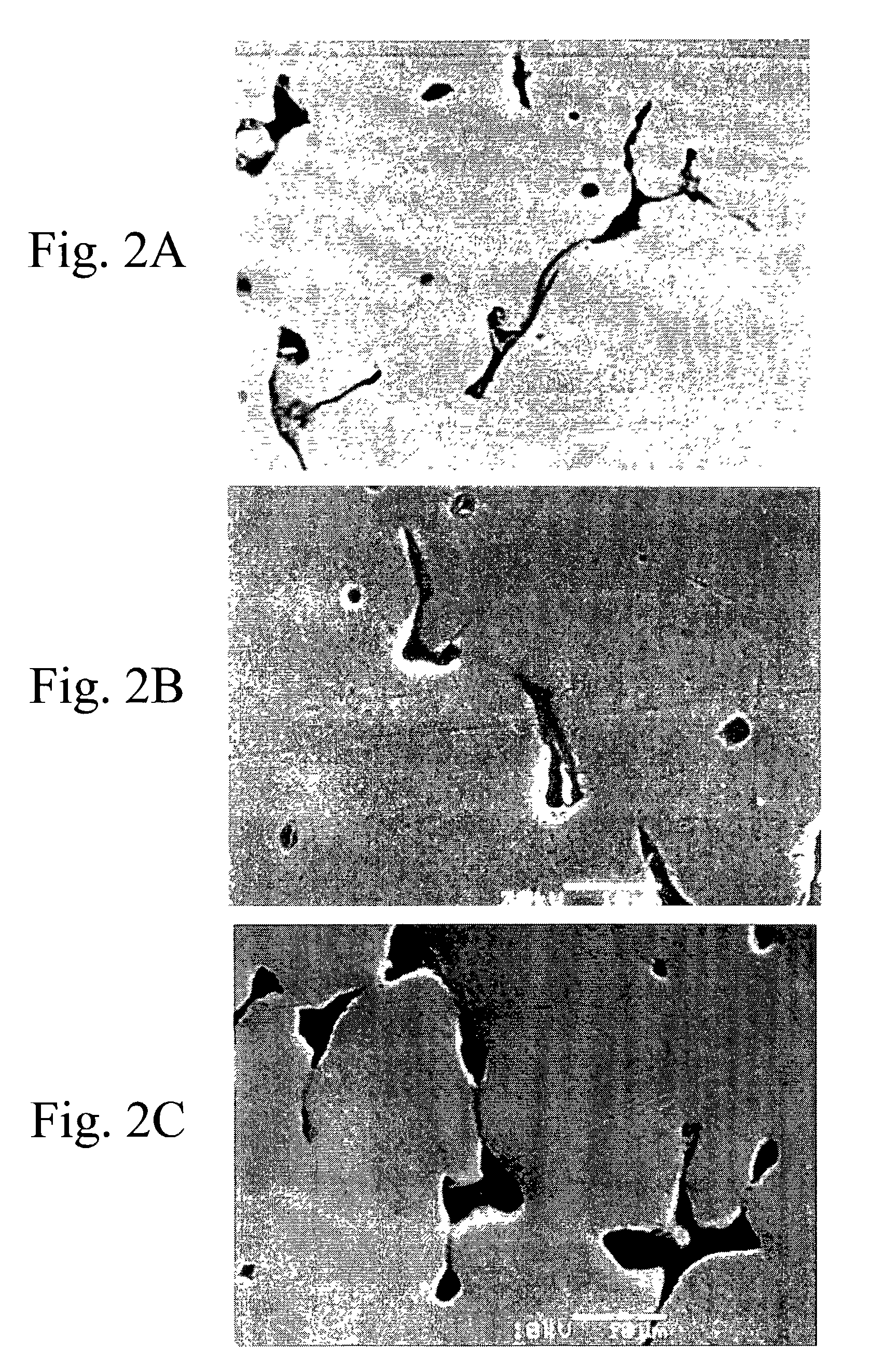 Sintered sprocket