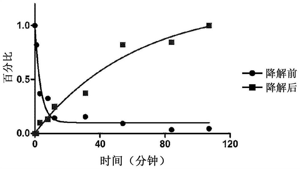 CD4 mimetic compounds with anti-HIV activity