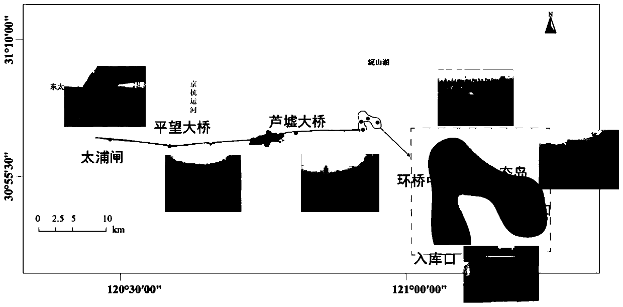 Water quality microorganism indication method based on big data and molecular biotechnology