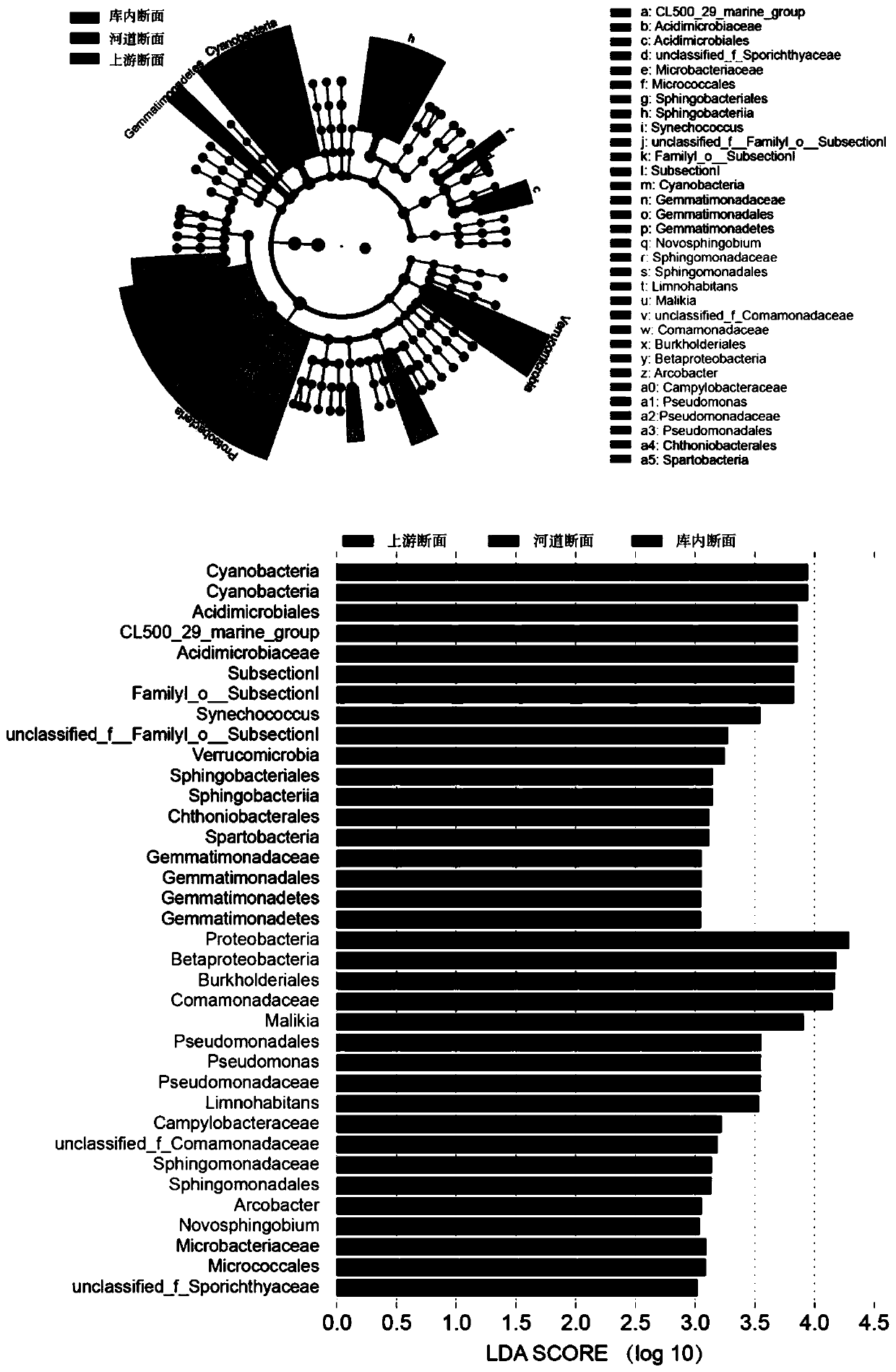 Water quality microorganism indication method based on big data and molecular biotechnology