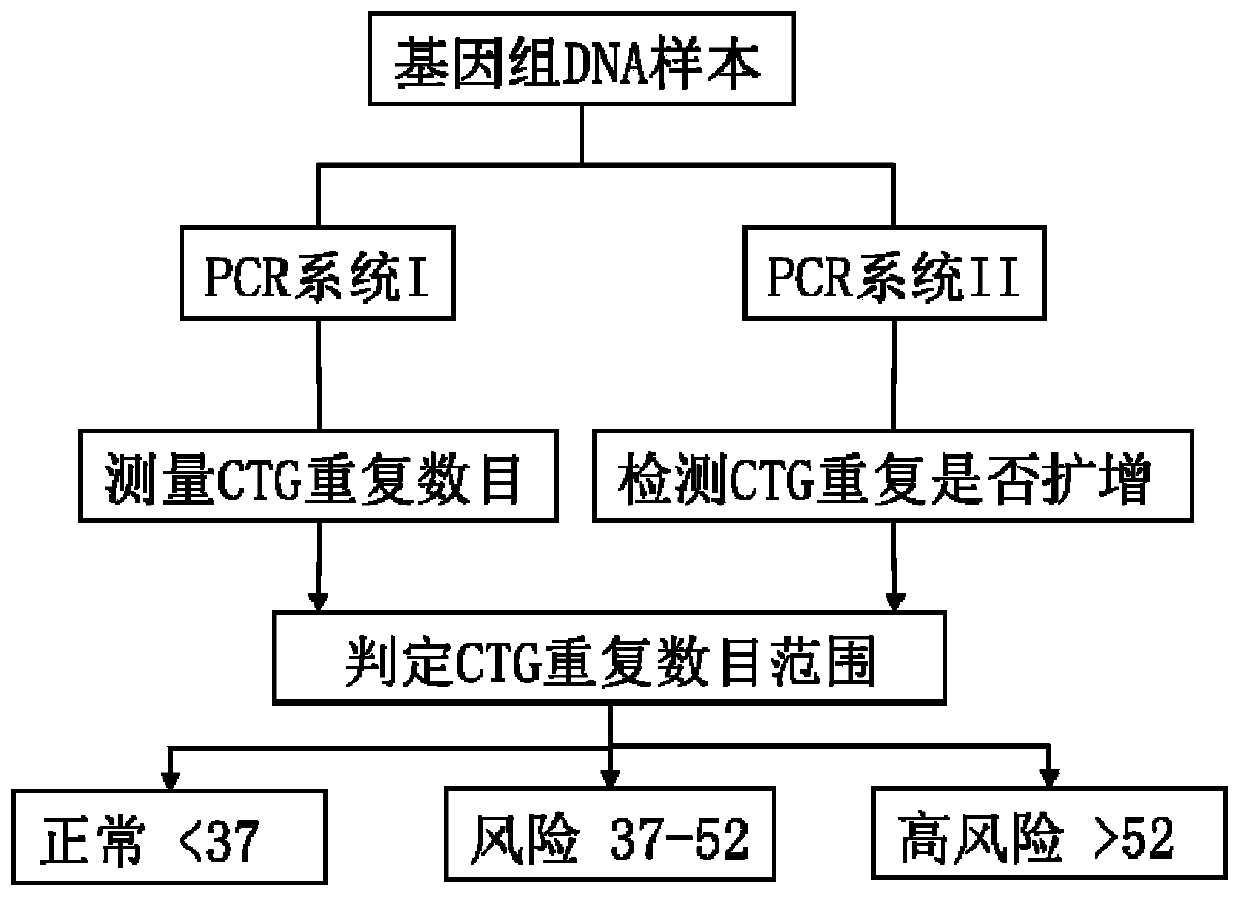 Kit for rapid screening CTG repetition of high-risk gene TCF4 for Fuchs endothelial corneal dystrophy