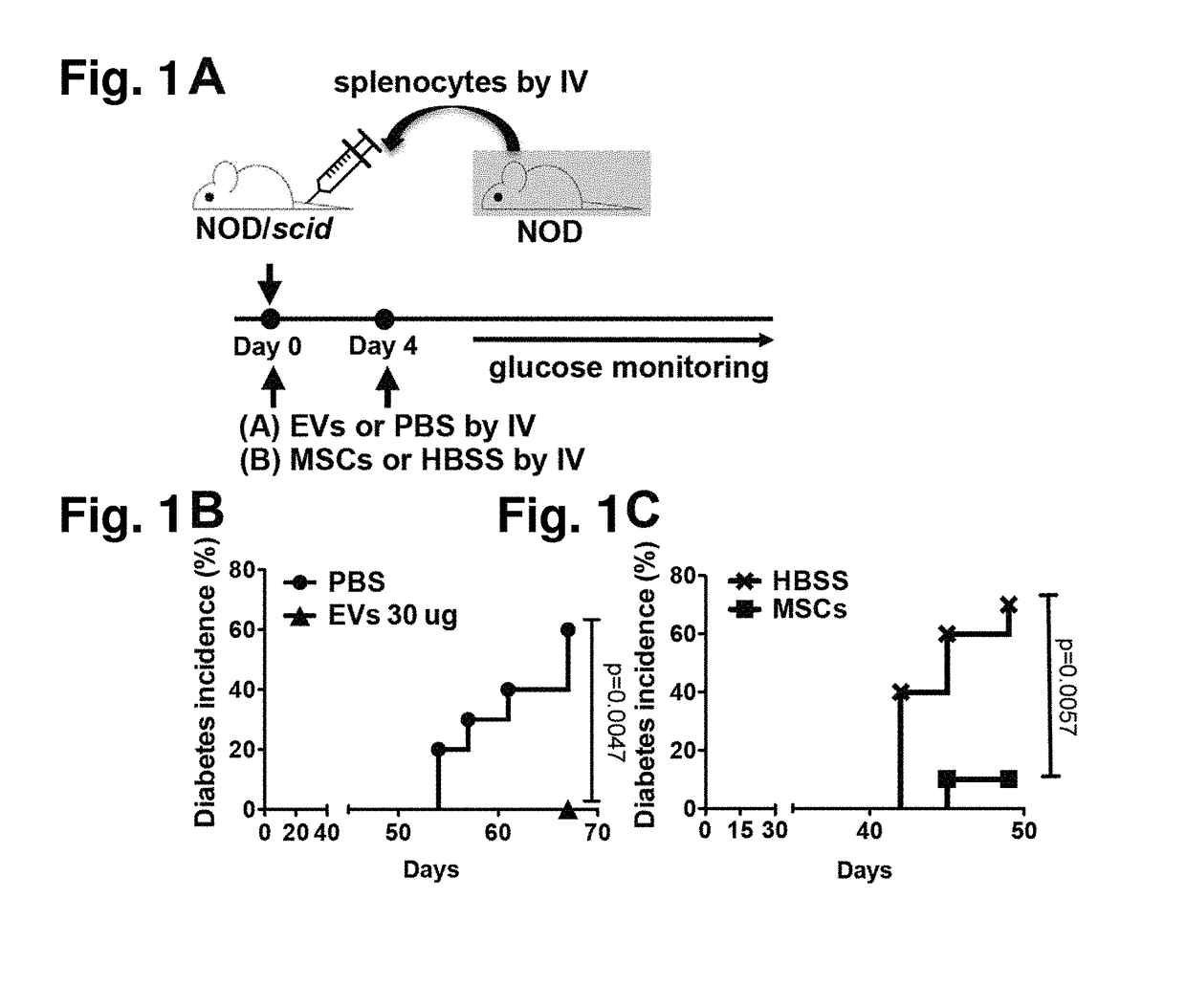 Mesenchymal Stem/Stromal Cell-Derived Extracellular Vesicles And Uses Thereof In Autoimmune Diseases