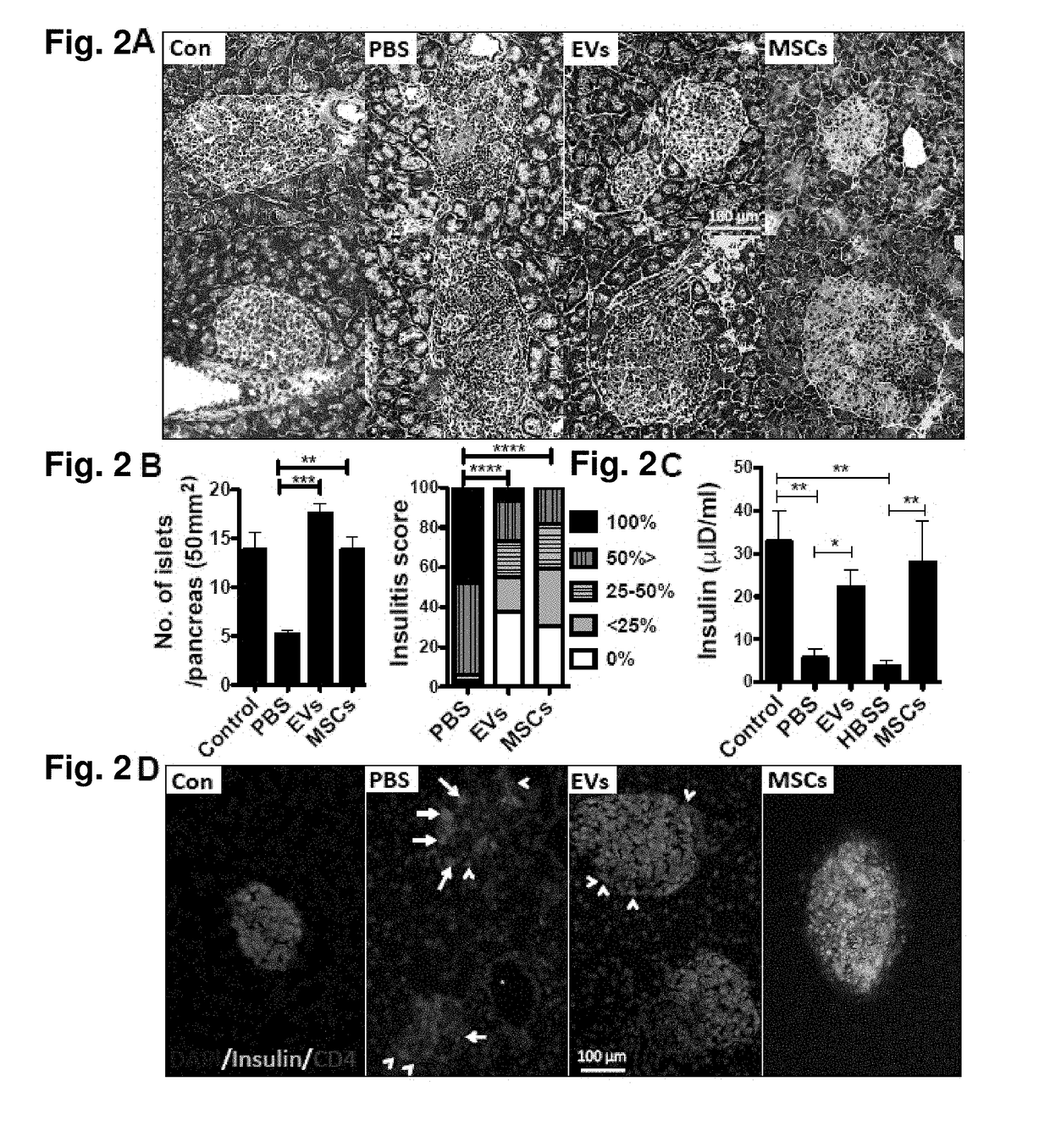 Mesenchymal Stem/Stromal Cell-Derived Extracellular Vesicles And Uses Thereof In Autoimmune Diseases