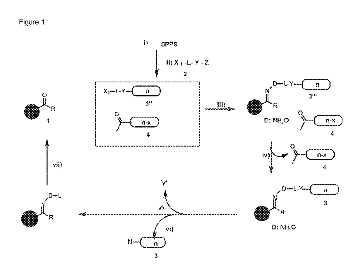 Linker molecule and use thereof in methods for purifying peptides