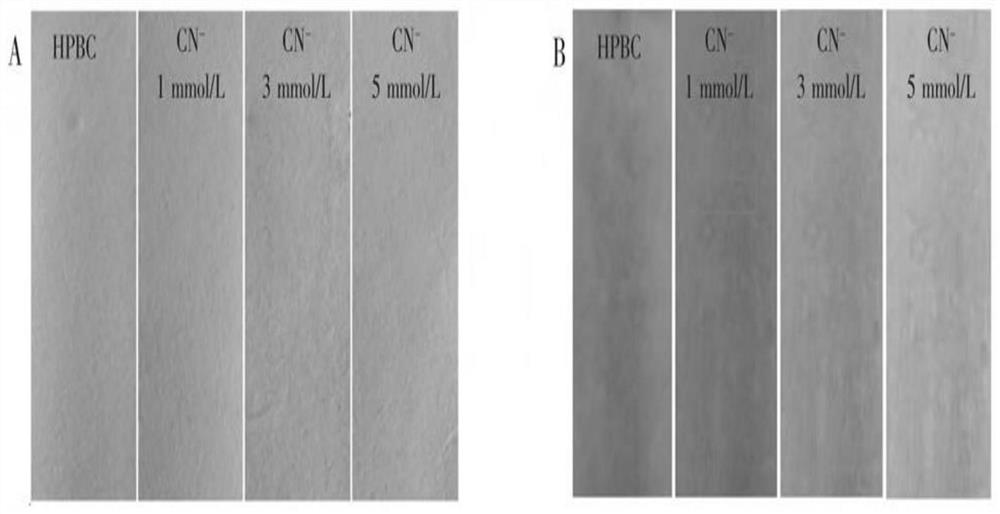 Straw carbon composite material and preparation method and application thereof