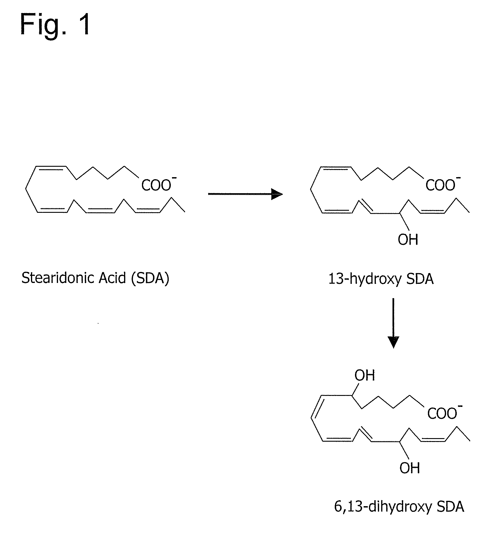 Oxylipins from stearidonic acid and gamma-linolenic acid and methods of making and using the same