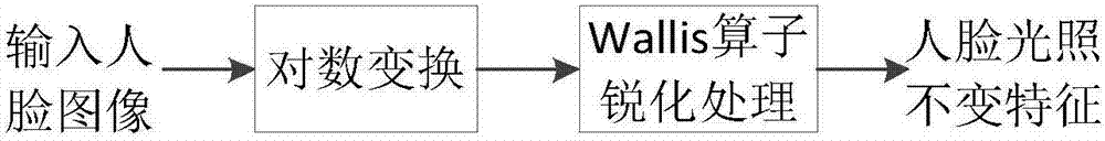 Method for extracting human face illumination invariant features by utilizing Wallis operator