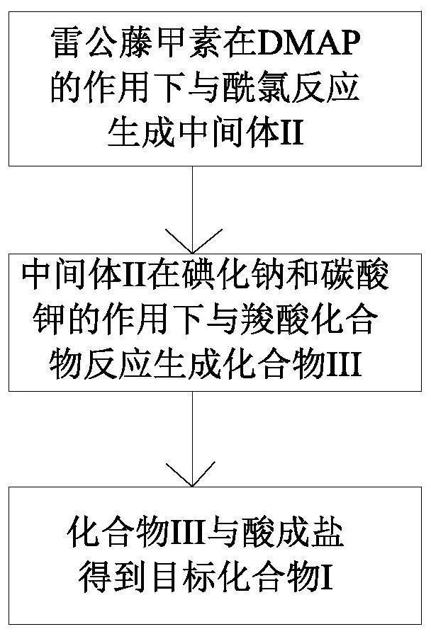 Triptolide prodrug as well as preparation method and medical application thereof