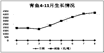 A method for cultivating Penaeus vannamei in a circulating water fish farming system