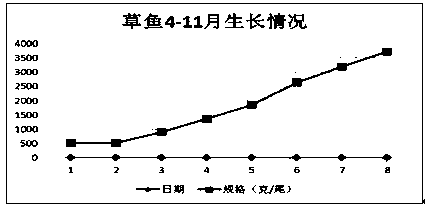 A method for cultivating Penaeus vannamei in a circulating water fish farming system