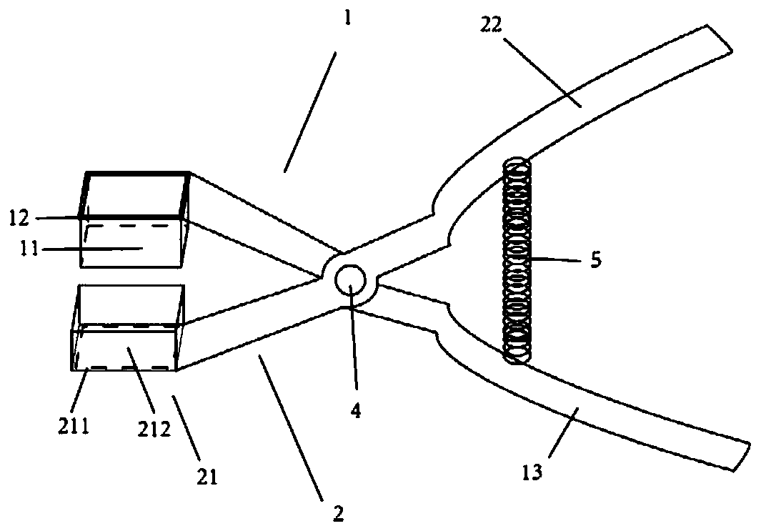 Pathological sampler of heart conduction system tissue and sampling method for sampling heart conduction system tissue