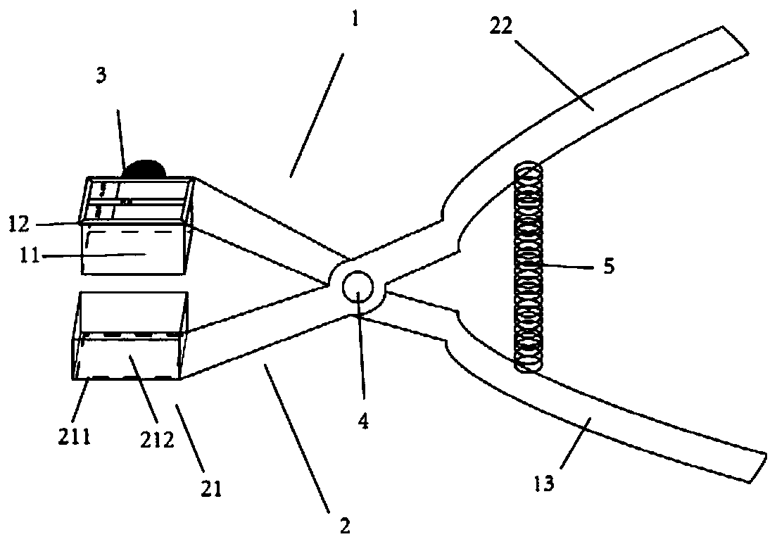 Pathological sampler of heart conduction system tissue and sampling method for sampling heart conduction system tissue