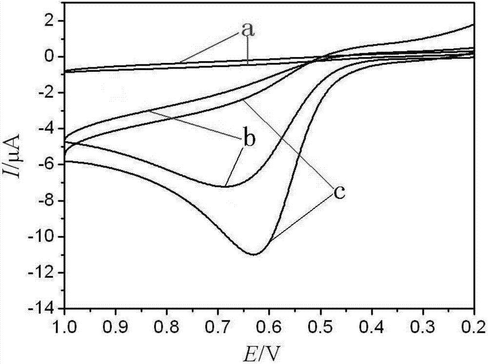 Electrochemical paracetamol molecular imprinting transducer and manufacturing method thereof