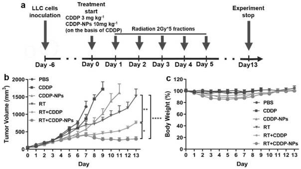 Anti-tumor composition, application thereof and anti-tumor medicine comprising anti-tumor composition