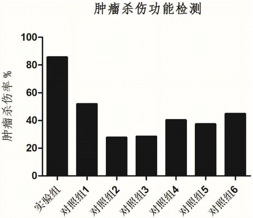 Culture medium for human-derived T lymphocytes and preparation method and application thereof