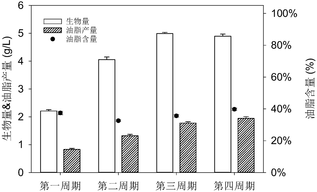 Method for preparing oil-producing yeast fermentation medium from dehydrated sludge and application thereof