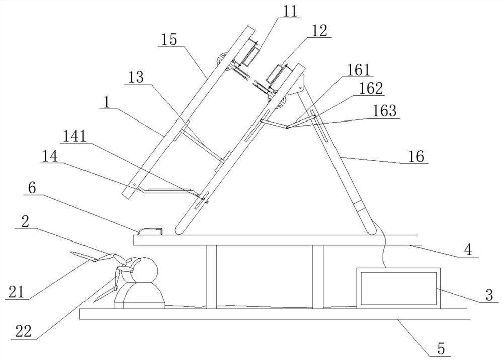 Three-dimensional display system for virtual operation training