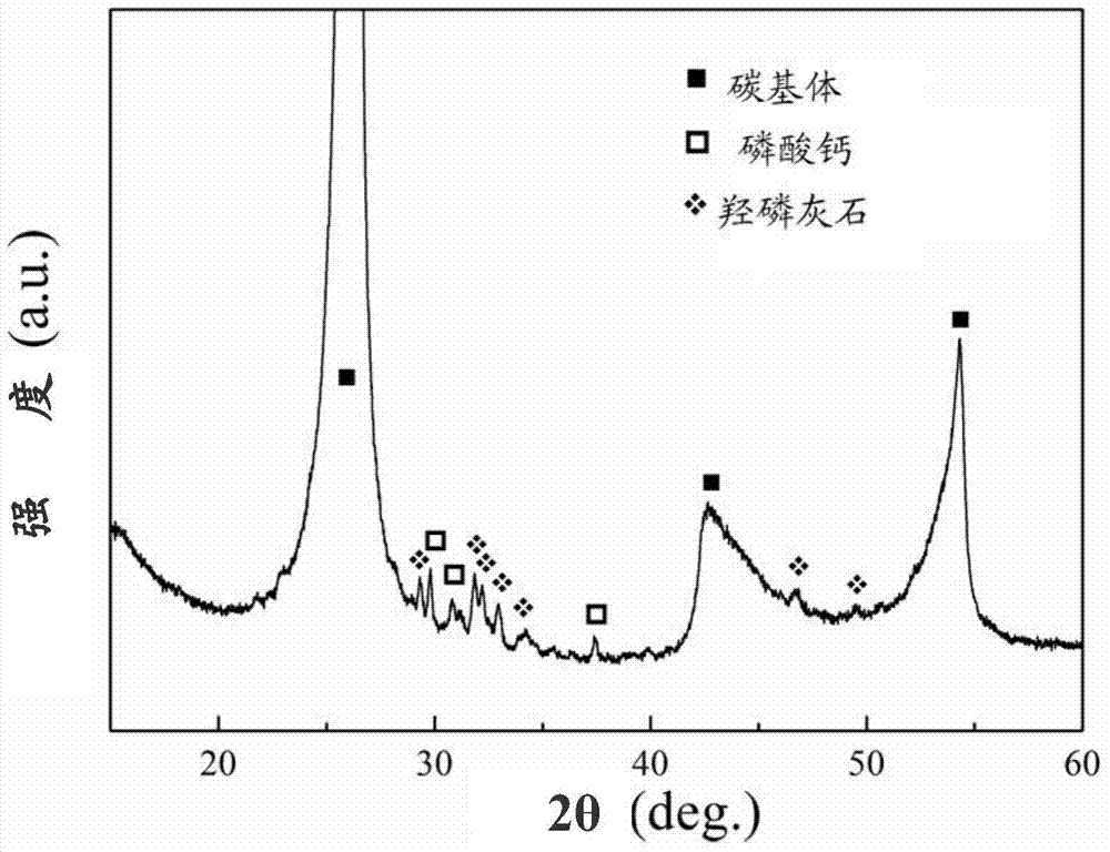 Carbon/carbon composite material containing bioactive calcium phosphate coating on surface and preparation method for carbon/carbon composite material