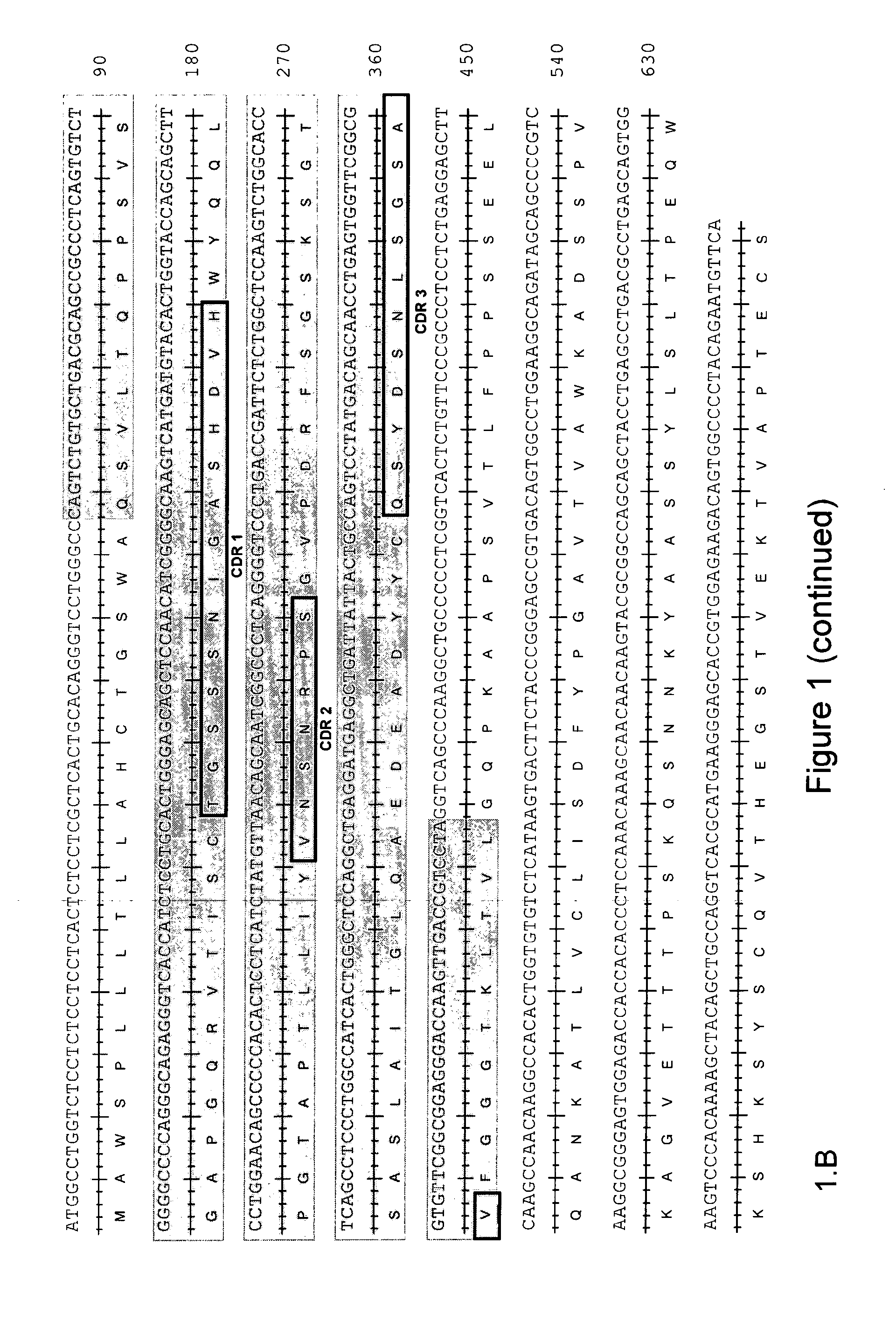 Binding Molecules Against Chikungunya Virus and Uses Thereof