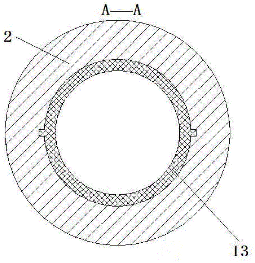 Dental implants with vibration damping and anti-rotation