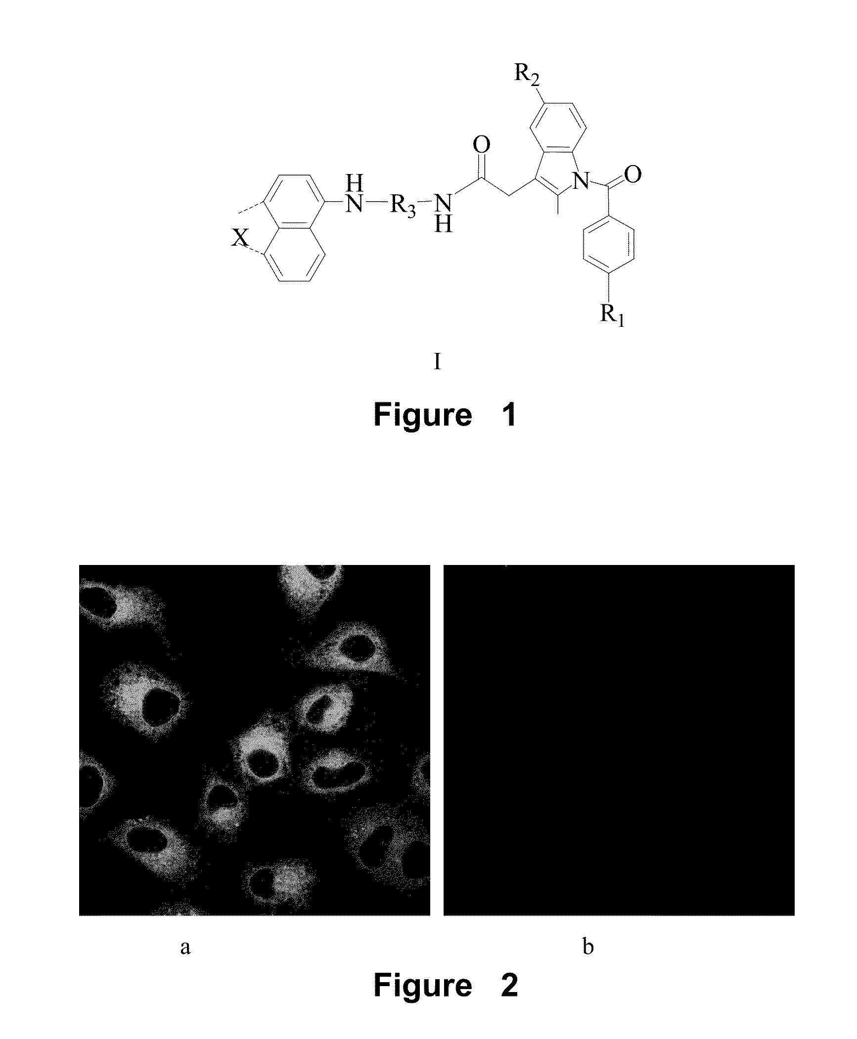 Naphthalene-based two-photon fluorescent probes, preparation method and use thereof