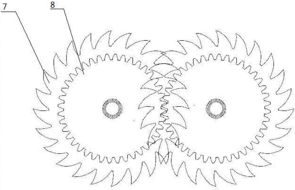 Novel nearshore enteromorpha collecting device