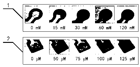 Production method and application of patterned biochemical analysis test paper