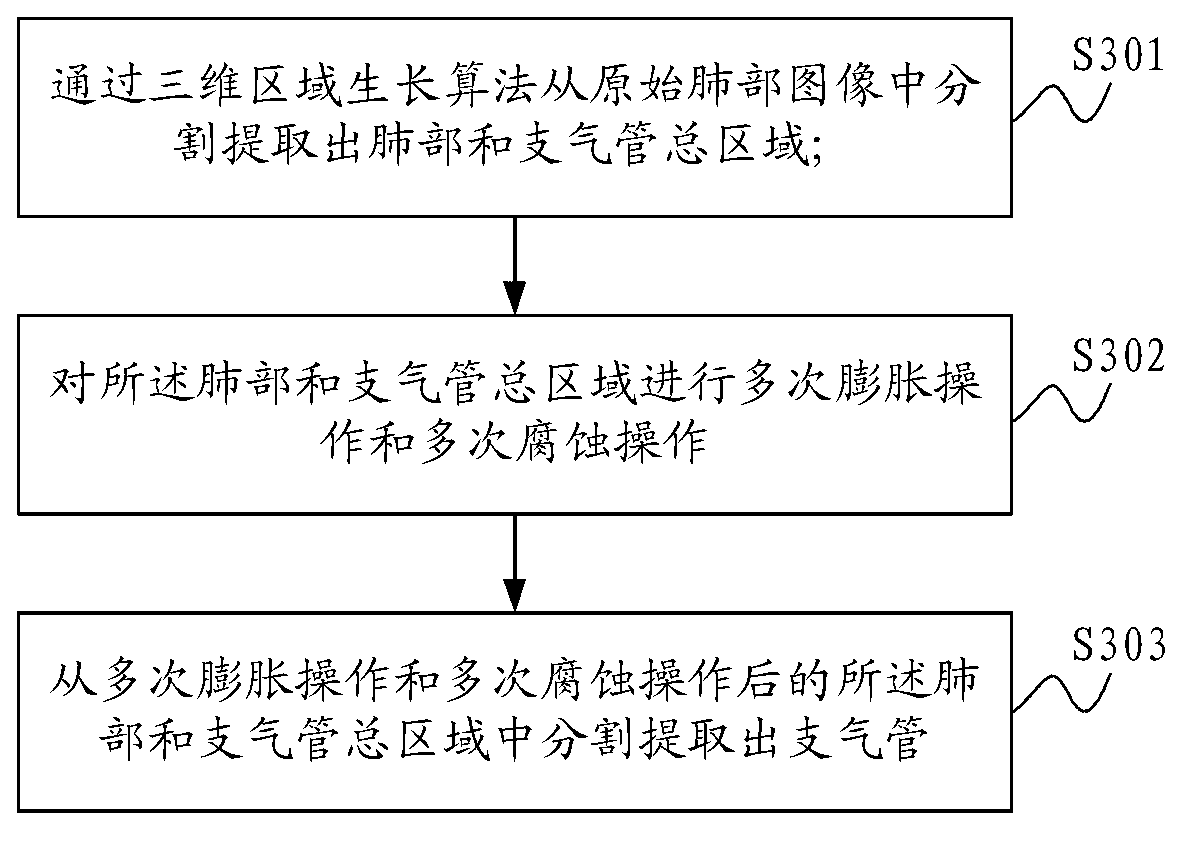 Bronchial partition method and system thereof