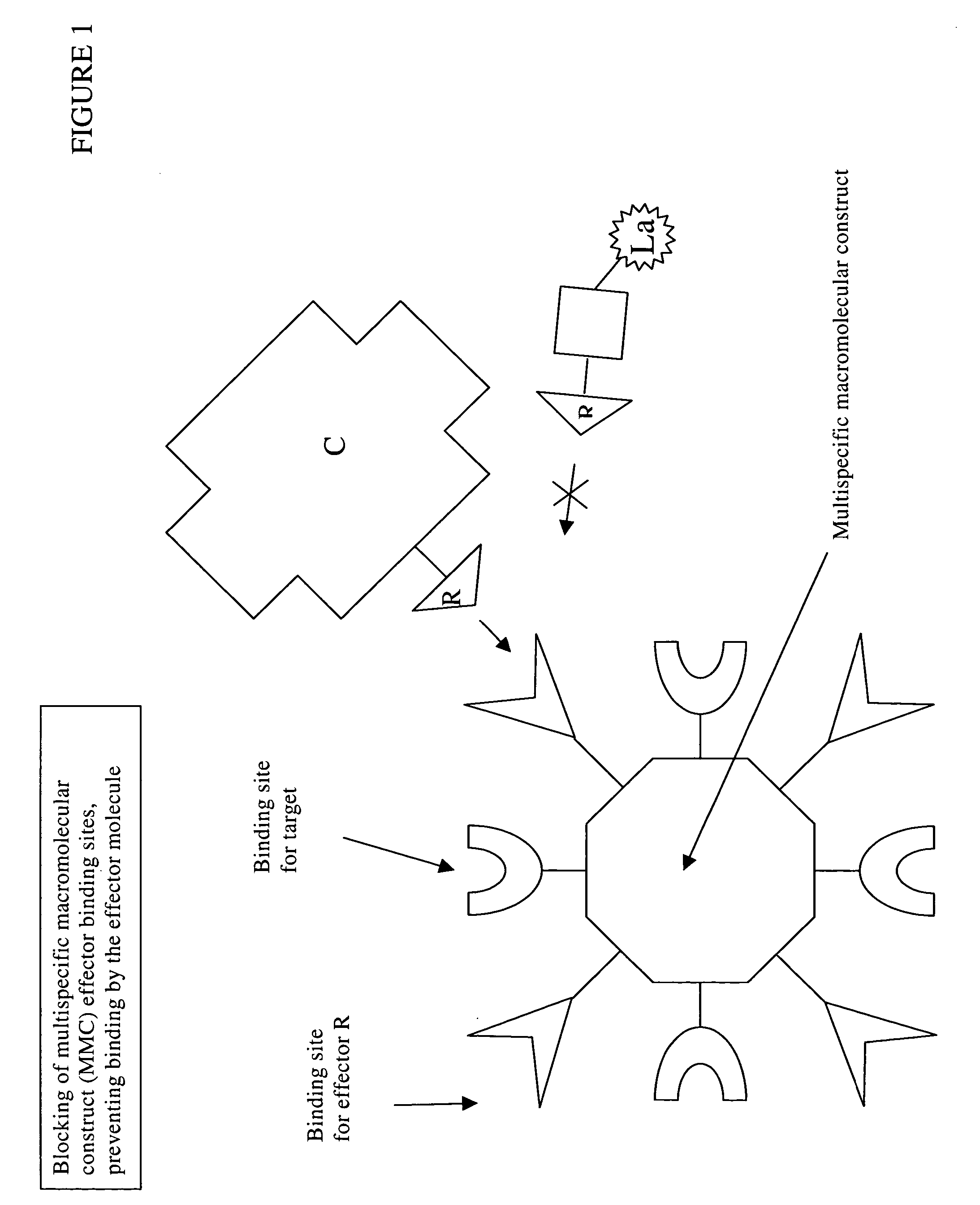 Compositions and methods useful in pretargeted imaging