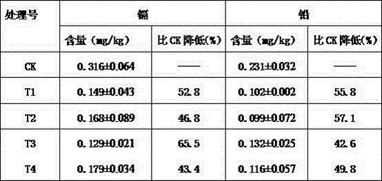 Rice heavy metal absorption blocking agent and use method thereof