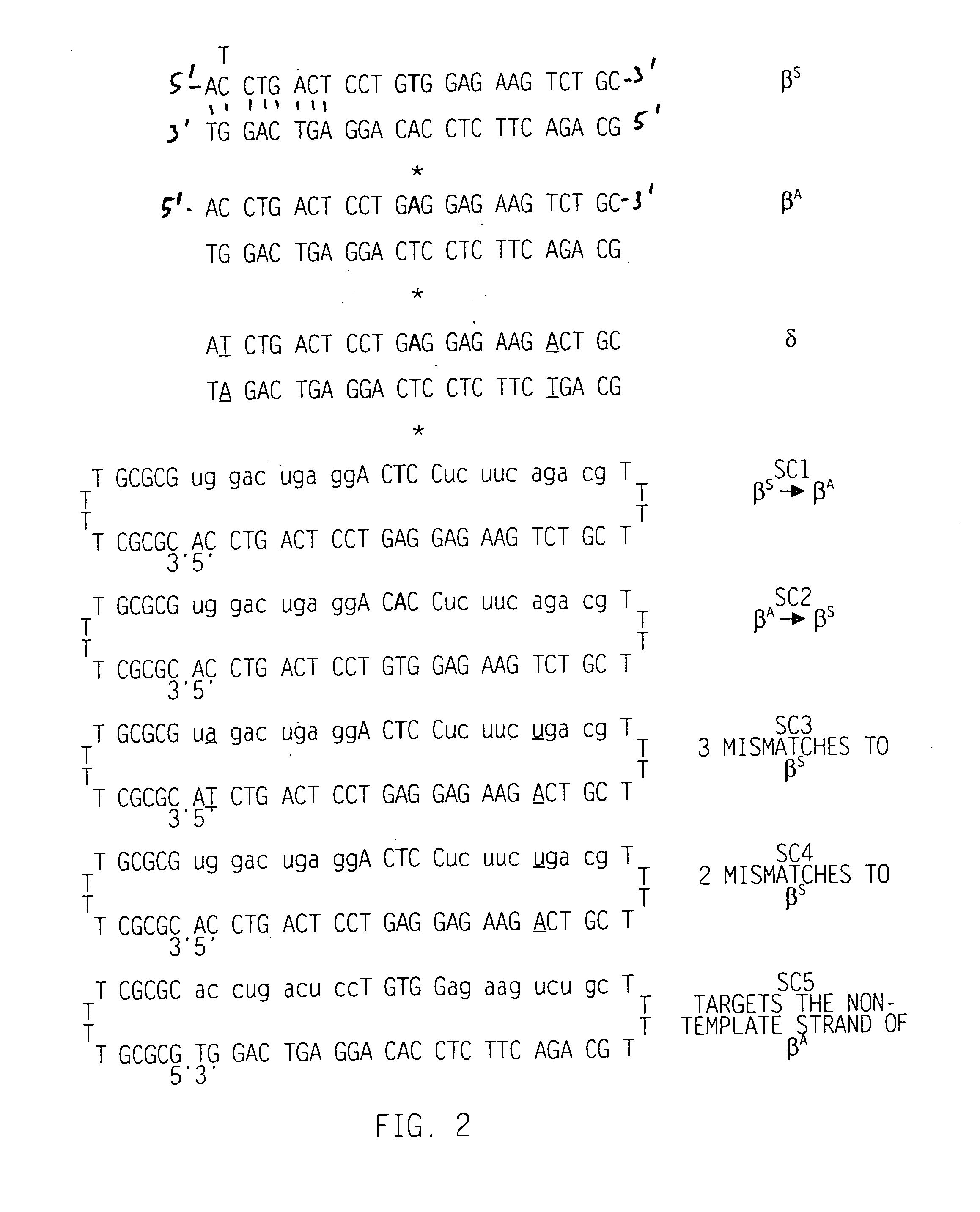 Locked nucleic acid containing heteropolymers and related methods