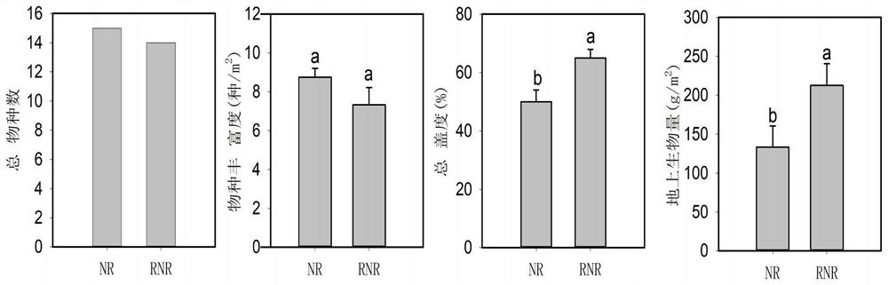 Method for quickly reconstructing subculture peat sedge community by using soil propagule bank