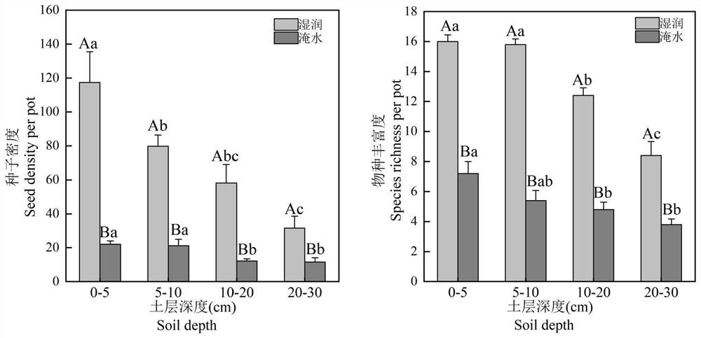 Method for quickly reconstructing subculture peat sedge community by using soil propagule bank