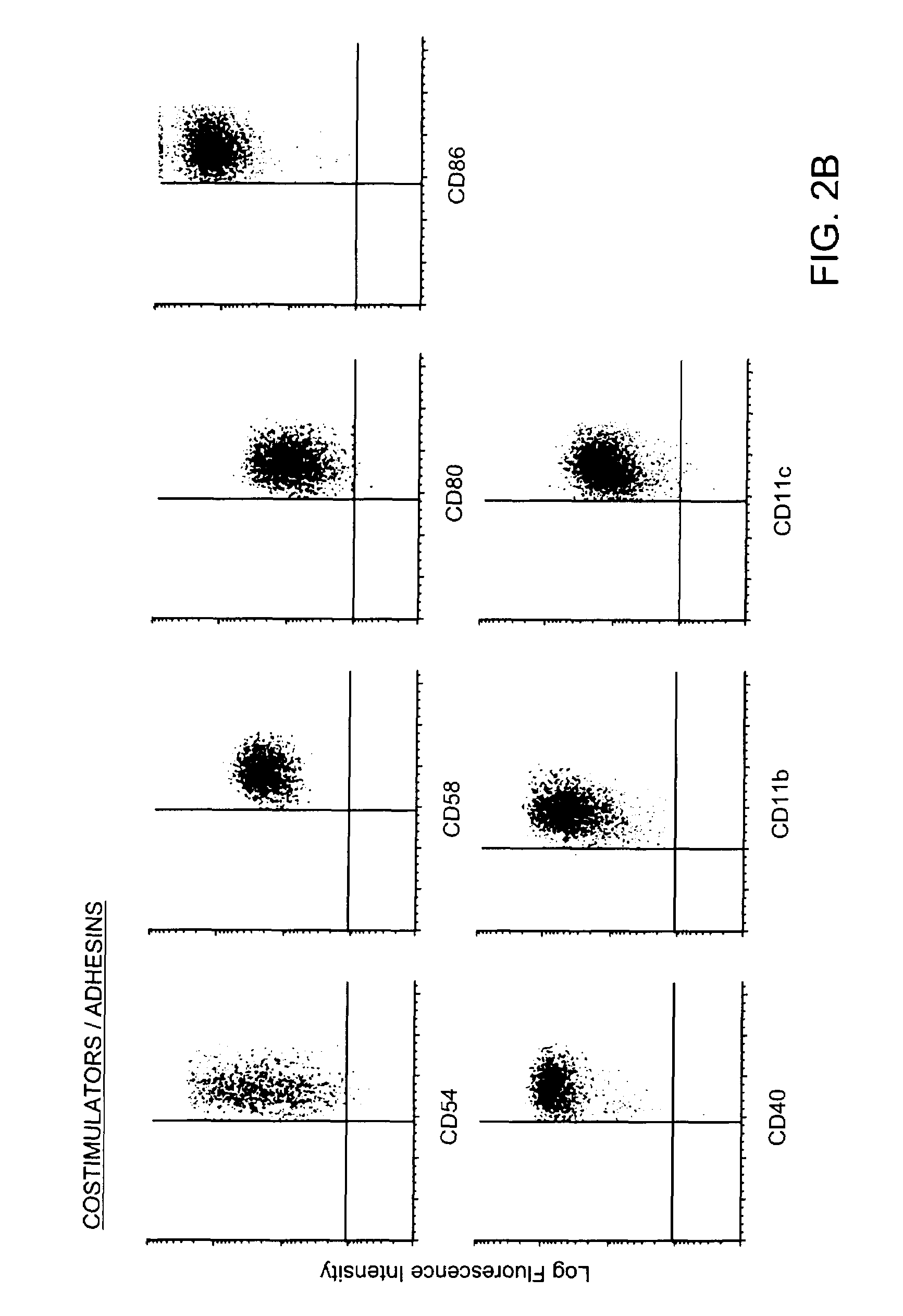 Method and compositions for obtaining mature dendritic cells