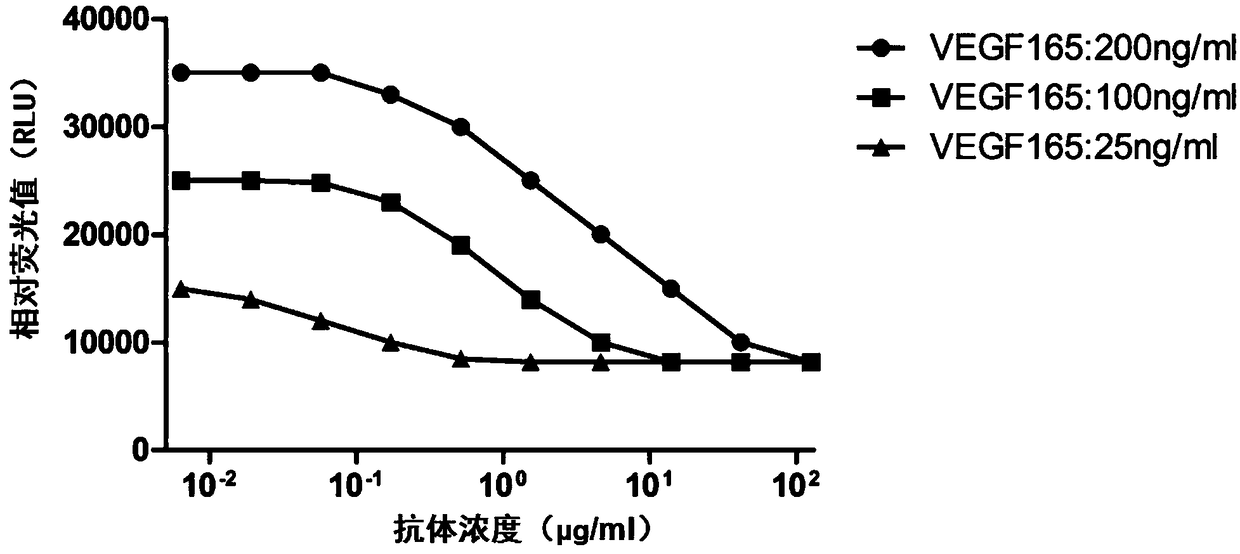 Method for measuring activity of anti-VEGF (Vascular Endothelial Growth Factor) antibody, and application thereof