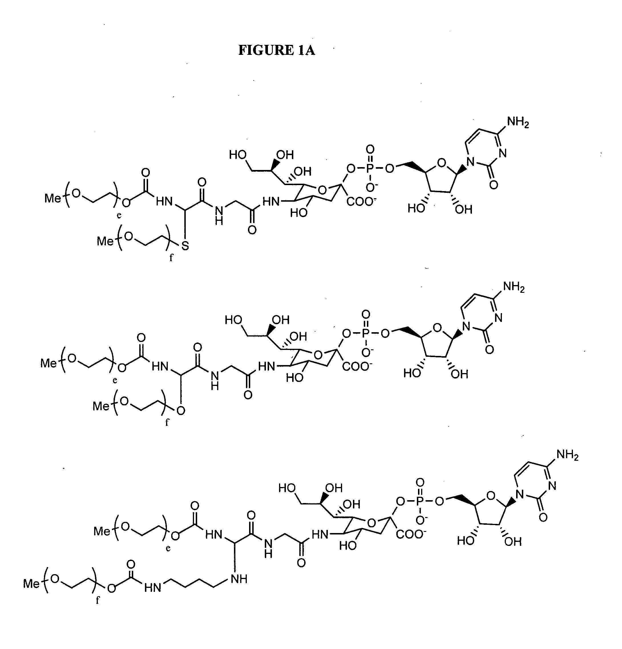 Glycopegylated erythropoietin