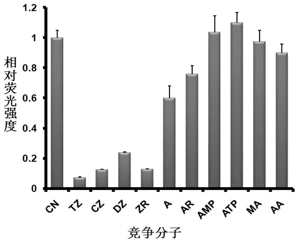 Aptamer for identifying zeatin through specifity, and screening method and application of aptamer